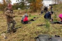 400 arbres et arbustes de plus à Saint-François-Xavier de Brompton